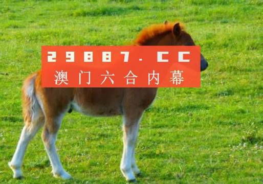 澳门六开奖记录最快落草，探索与解析，澳门六开奖记录探索与解析，最快落草揭秘