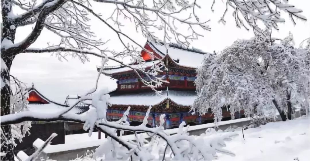 河南下雪最新情况今天，河南今日下雪最新情况简报