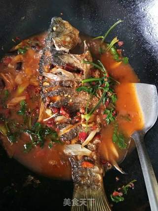 红烧鲤鱼的做法，一道经典中华美食的烹饪指南，红烧鲤鱼，中华经典美食烹饪指南
