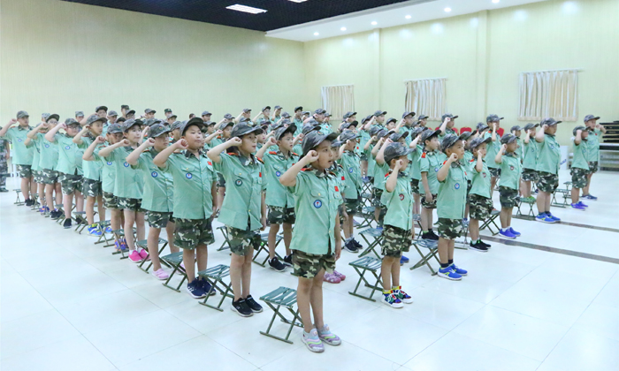军事夏令营机构，培养青少年军事素养与综合素质的重要平台，军事夏令营机构，培养青少年军事素养与综合素质的摇篮
