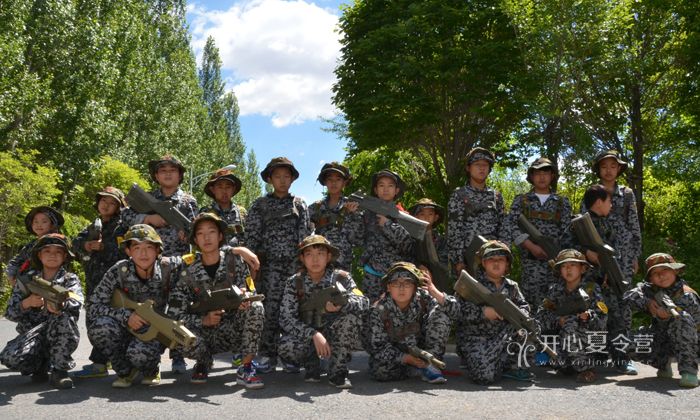 军事夏令营机构，培养青少年军事素养与综合素质的重要平台，军事夏令营机构，培养青少年军事素养与综合素质的摇篮
