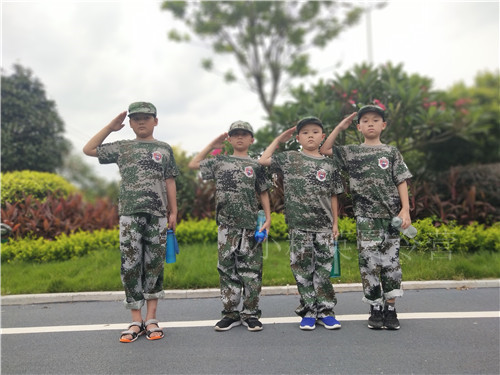 军事夏令营机构，培养青少年军事素养与综合素质的重要平台，军事夏令营机构，培养青少年军事素养与综合素质的摇篮
