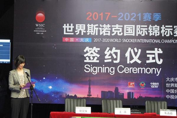 王中王一肖一特一中一澳，探索多元领域的杰出成就，王中王一肖一特一中一澳，多元领域的卓越探索与成就