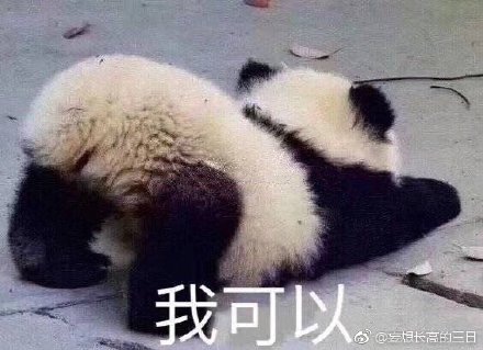 澳门四不像图，独特的魅力与深藏的奥秘，澳门四不像图的独特魅力与深藏奥秘探索
