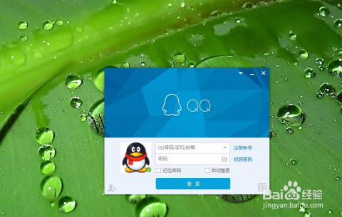 QQ快速登录入口，便捷登录，畅享社交体验，QQ快速登录入口，畅享便捷社交体验
