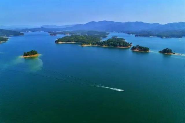 河源万绿湖，碧水环抱的翠绿画卷，河源万绿湖，碧水翠色绘就的自然画卷
