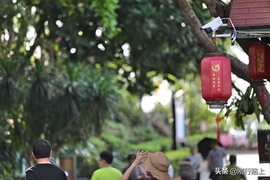 三亚鹿回头景区深度介绍，三亚鹿回头景区深度游攻略与体验介绍