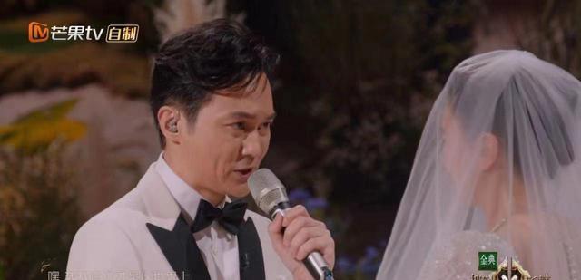披荆斩棘的爱情，袁咏仪与张智霖的浪漫婚礼，袁咏仪与张智霖的披荆斩棘的浪漫婚礼