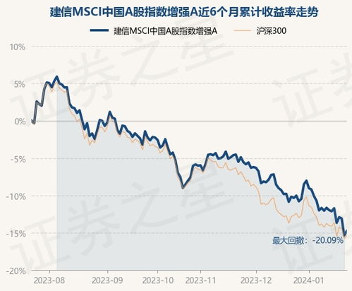 中国指数基金概述，种类丰富，各具特色，中国指数基金概览，多样种类，各具特色