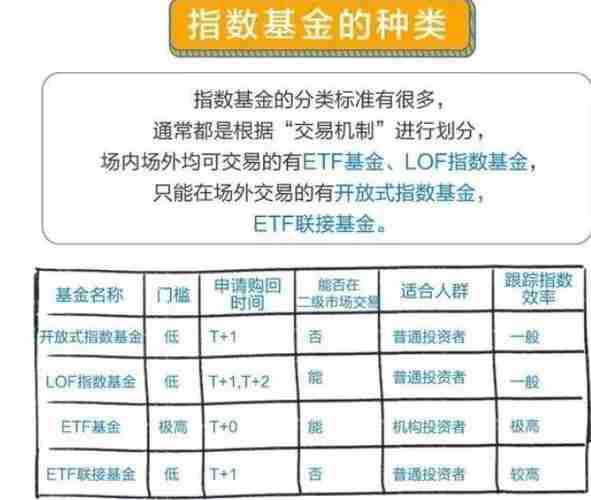 中国指数基金概述，种类丰富，各具特色，中国指数基金概览，多样种类，各具特色