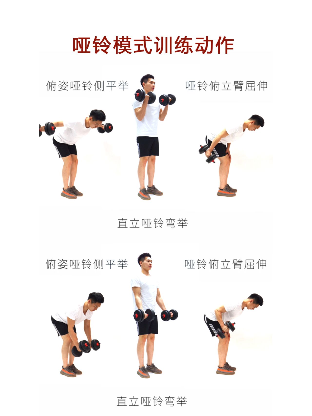 哑铃锻炼入门指南，初练视频教程详解，哑铃锻炼新手入门指南，初练视频教程全面解析