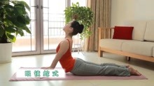免费瑜伽教程视频，引领你走进瑜伽的世界，免费瑜伽教程视频，带你走进瑜伽的奇妙世界