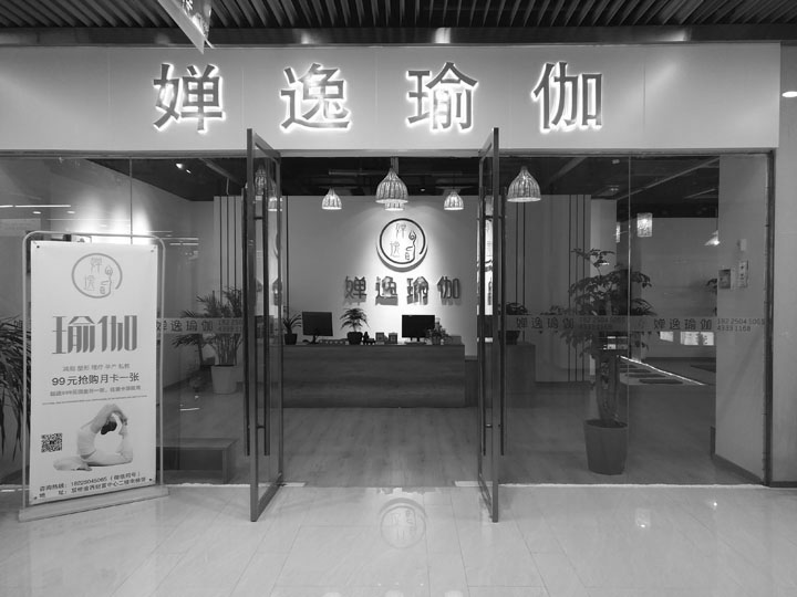 禅逸瑜伽健身有限公司，融合禅文化与瑜伽之美，塑造健康生活，禅逸瑜伽健身有限公司，禅文化与瑜伽融合，塑造健康生活之旅