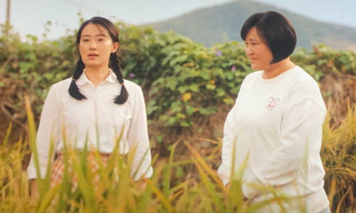 你好，李焕英，你好，李焕英，深度解析与感悟