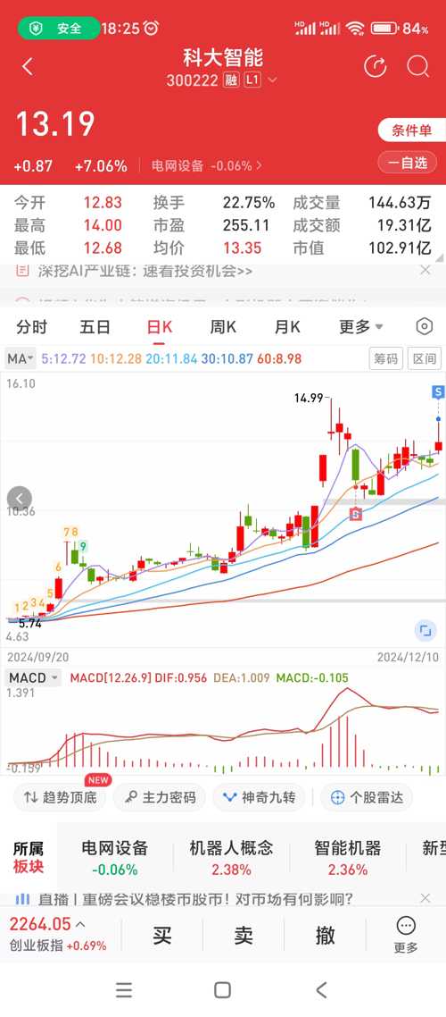 探索300222股吧的独特魅力与挑战，探索300222股吧的独特魅力与机遇挑战并存