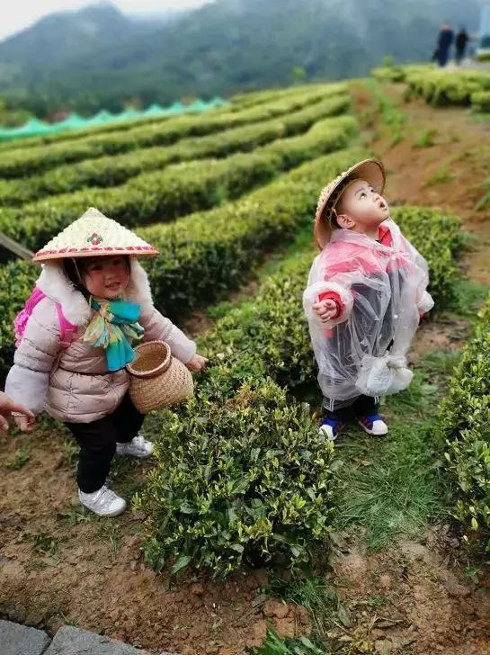 爱丫爱丫视频在线观看，探索情感世界的独特魅力，爱丫爱丫视频在线观看，情感世界的独特魅力探索