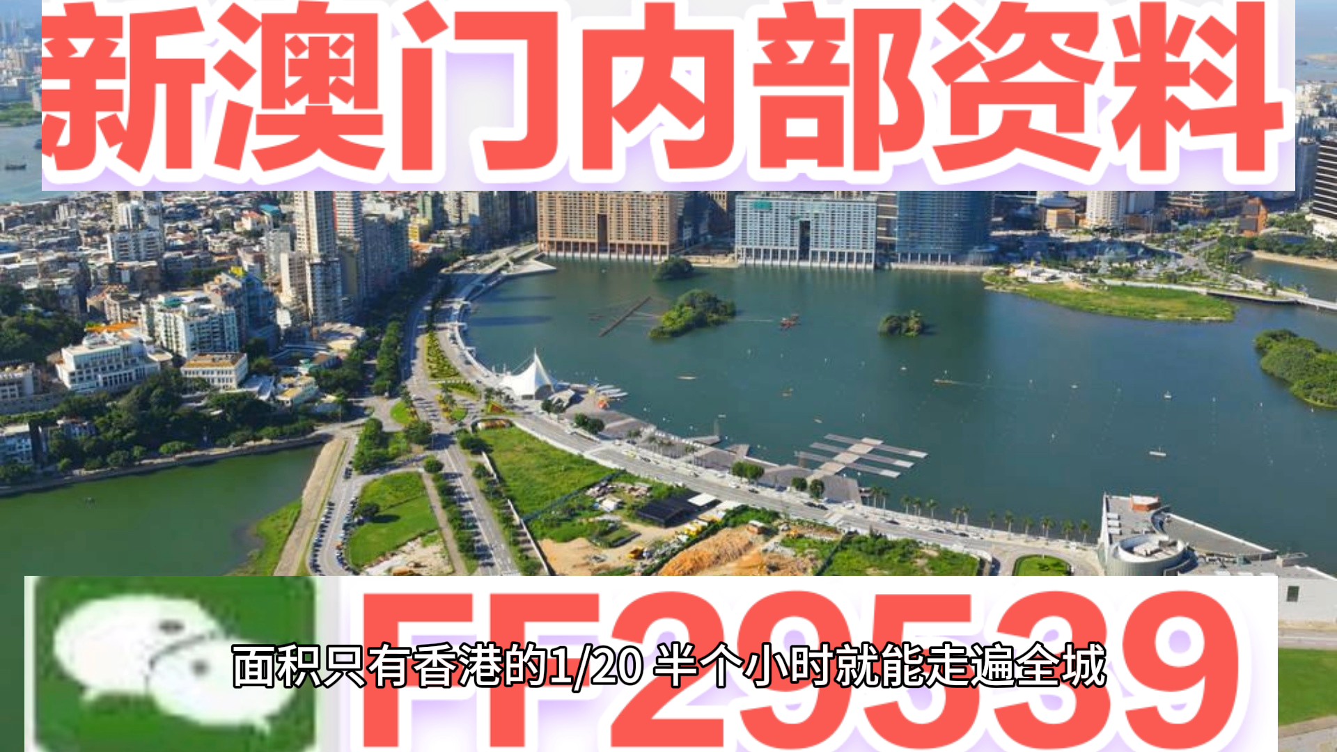 新澳门今晚开奖结果开奖记录查询，探索彩票世界的神秘与机遇，澳门彩票开奖结果查询，探索神秘彩票世界的机遇