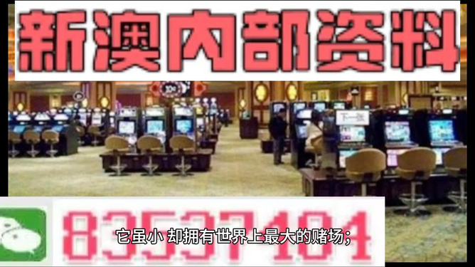 新澳精准正版资料免费，探索与解读，新澳正版资料探索与解读，免费精准信息一览