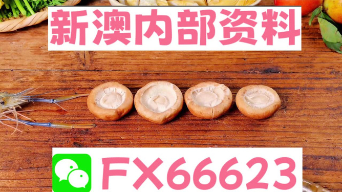 探索新澳正版资料的世界，免费提供的价值，探索新澳正版资料的世界，免费提供的价值之旅