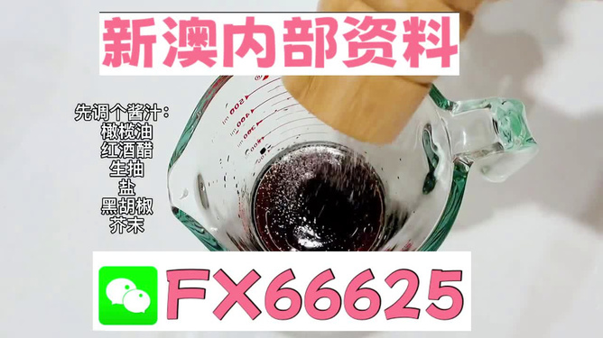 探索新澳正版资料的世界，免费提供的价值，探索新澳正版资料的世界，免费提供的价值之旅