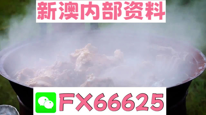 探索新澳正版资料的世界，免费提供的价值，探索新澳正版资料的世界，免费提供的价值之旅