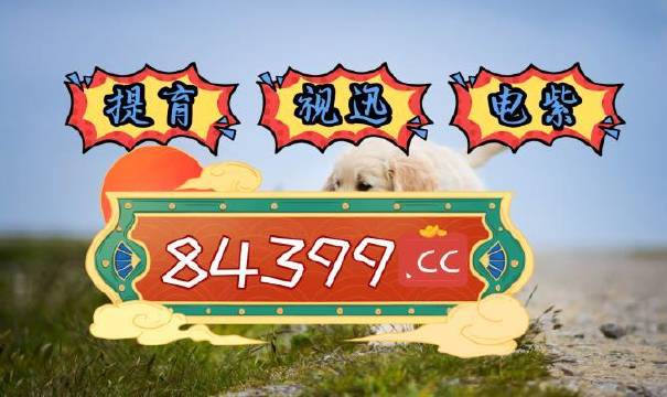 澳门75期最快天天开奖，探索彩票的魅力与期待，澳门彩票魅力揭秘，每日开奖的期待与探索