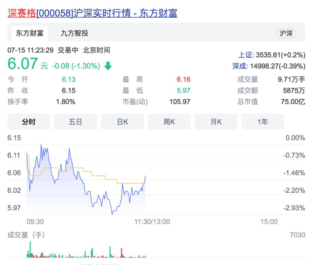 深赛格最新消息全面解析，深赛格最新消息全面解读