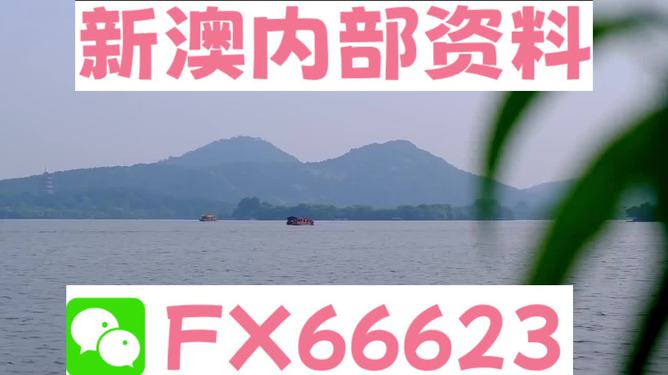 探索未来之门，2024新澳正版资料最新解析，探索未来之门，2024新澳正版资料深度解析
