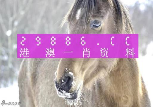 澳门一肖一码最准，揭秘精准预测背后的秘密，澳门精准预测一肖一码揭秘，预测背后的秘密真相