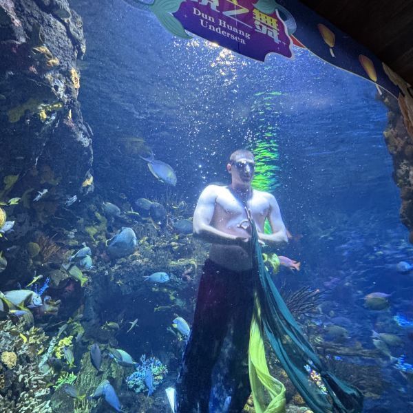海洋世界的魅力与门票之旅，海洋魅力揭秘，门票之旅开启奇幻之旅