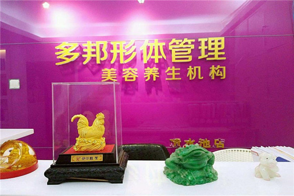 燃放减肥加盟费用详解，开启健康产业之旅的投资指南，燃放减肥加盟费用全解析，投资健康产业的终极指南