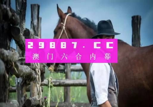 澳门正版资料大全，探索2025年的澳门，澳门正版资料大全，揭秘未来澳门展望2025年风采