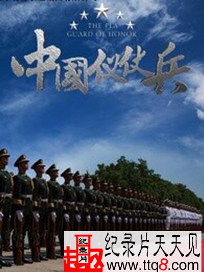 电视剧中国仪仗兵在线观看，展现荣耀与责任，中国仪仗兵展现荣耀与责任，在线观看火热开启