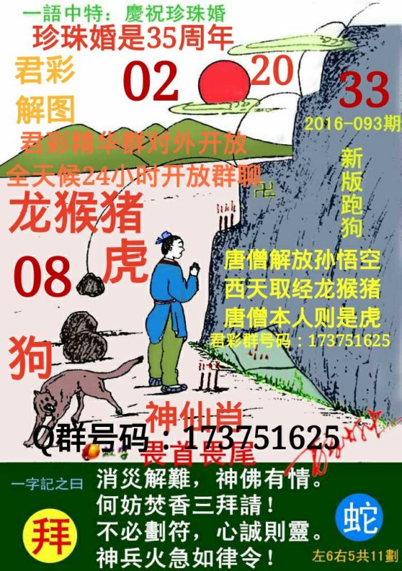 探索精准跑狗图，数字组合的魅力与跑狗图的奥秘，精准跑狗图揭秘，数字组合的魅力和奥秘探索