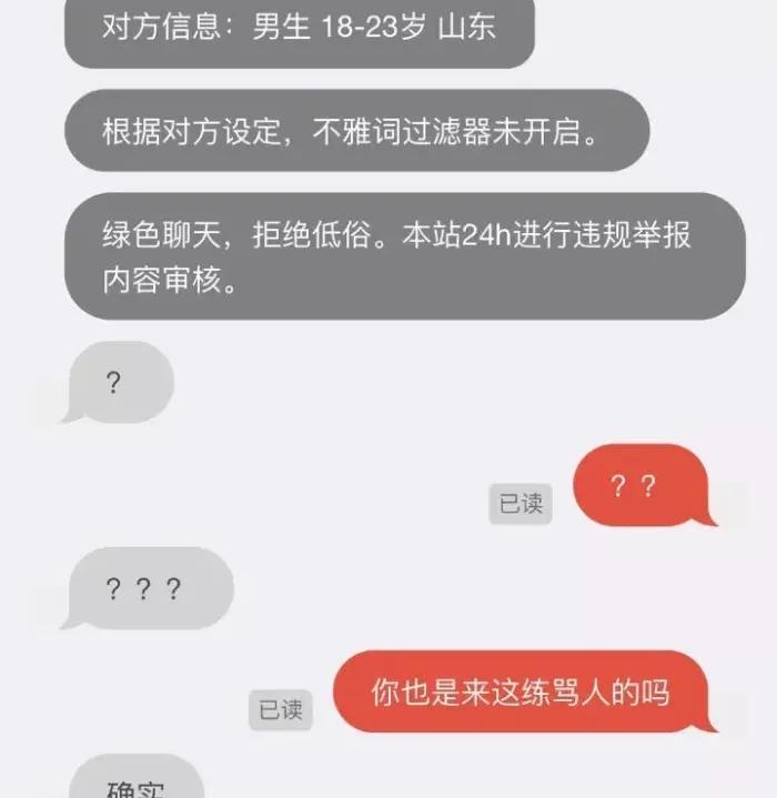 匿名聊天与在线聊天，探索现代沟通的新领域，匿名与在线聊天，现代沟通的新领域探索