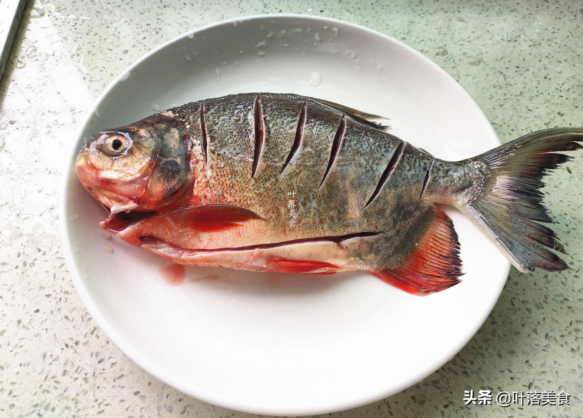 红鲳鱼的美味烹饪之道，红鲳鱼烹饪指南，美味呈现之道