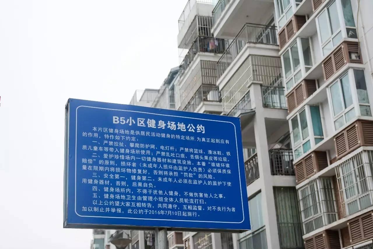 运动健身，塑造健康生活的力量之源，运动健身，塑造健康生活的基石力量之源