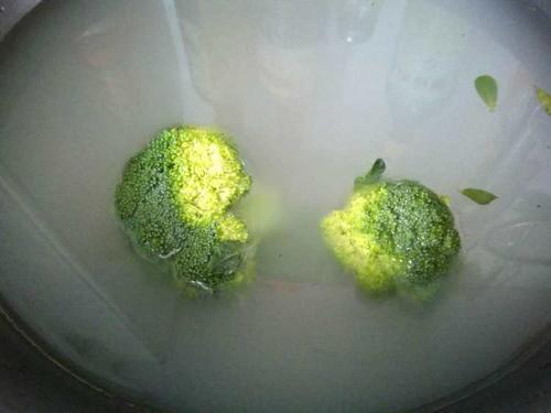 西兰花如何清洗才干净，如何正确清洗西兰花？