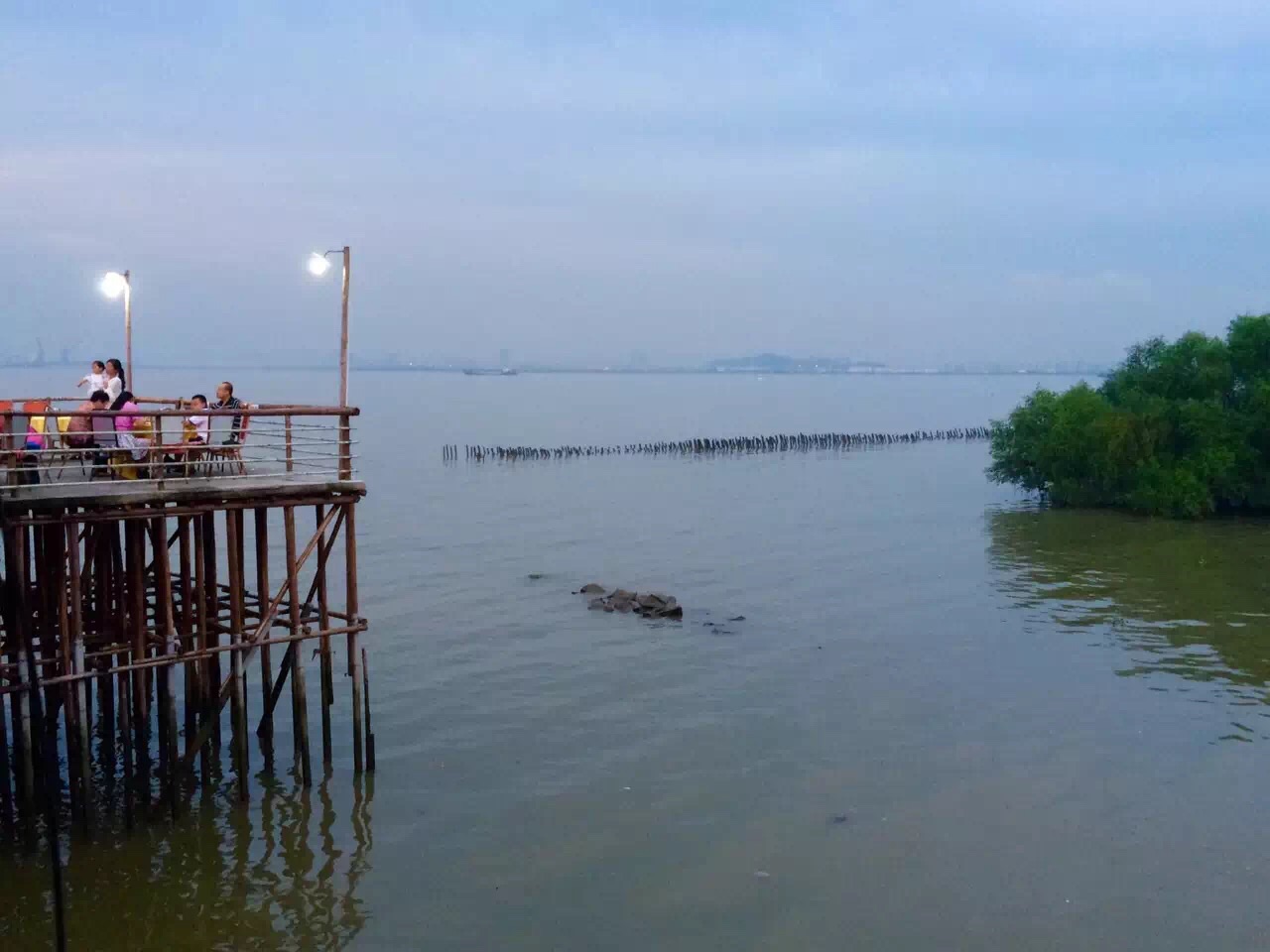 海鸥岛公园，自然与人文的和谐交响，海鸥岛公园，自然与人文的和谐融合