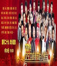 2014春节联欢晚会完整版回顾与赏析，春节联欢晚会回顾与赏析，精彩瞬间再现