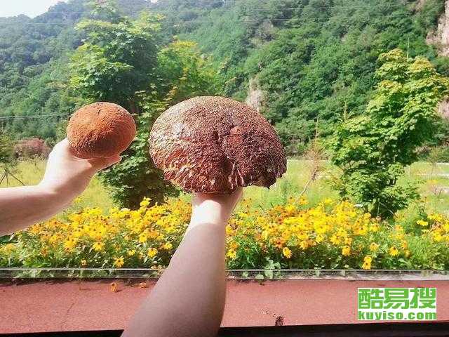 本溪老边沟住宿开云（中国）指南，本溪老边沟住宿开云（中国）攻略