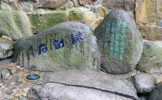 虎丘湿地公园，探访自然之美，门票问题详解，虎丘湿地公园，自然之美的深度探访与门票问题详解