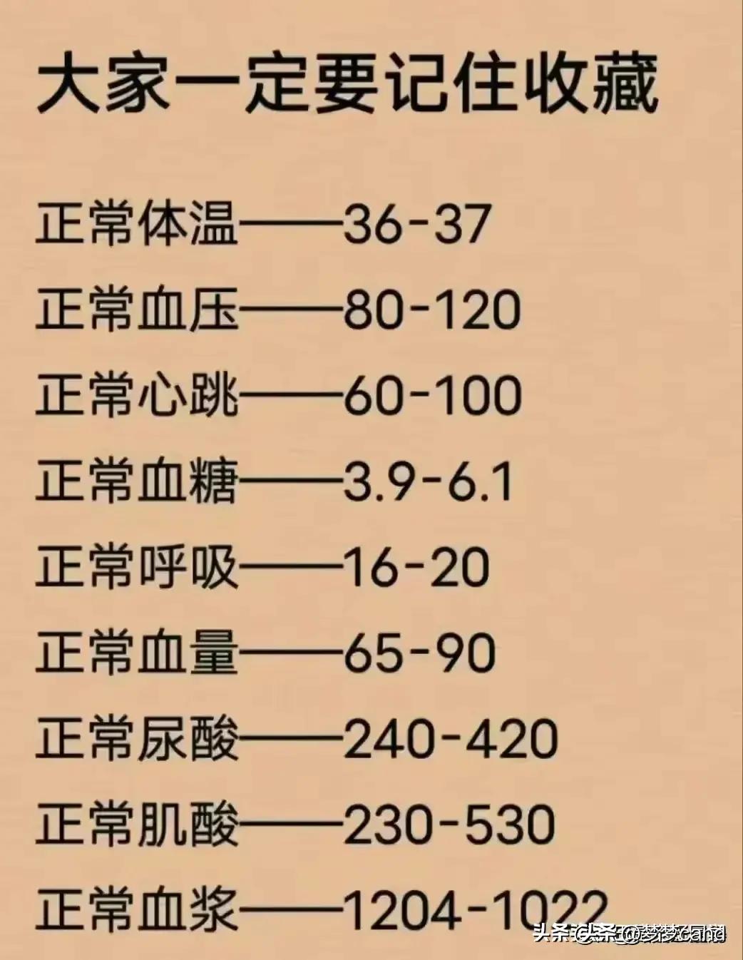 军事新闻参考，全球军事动态深度解析，全球军事动态深度解析与军事新闻参考综述