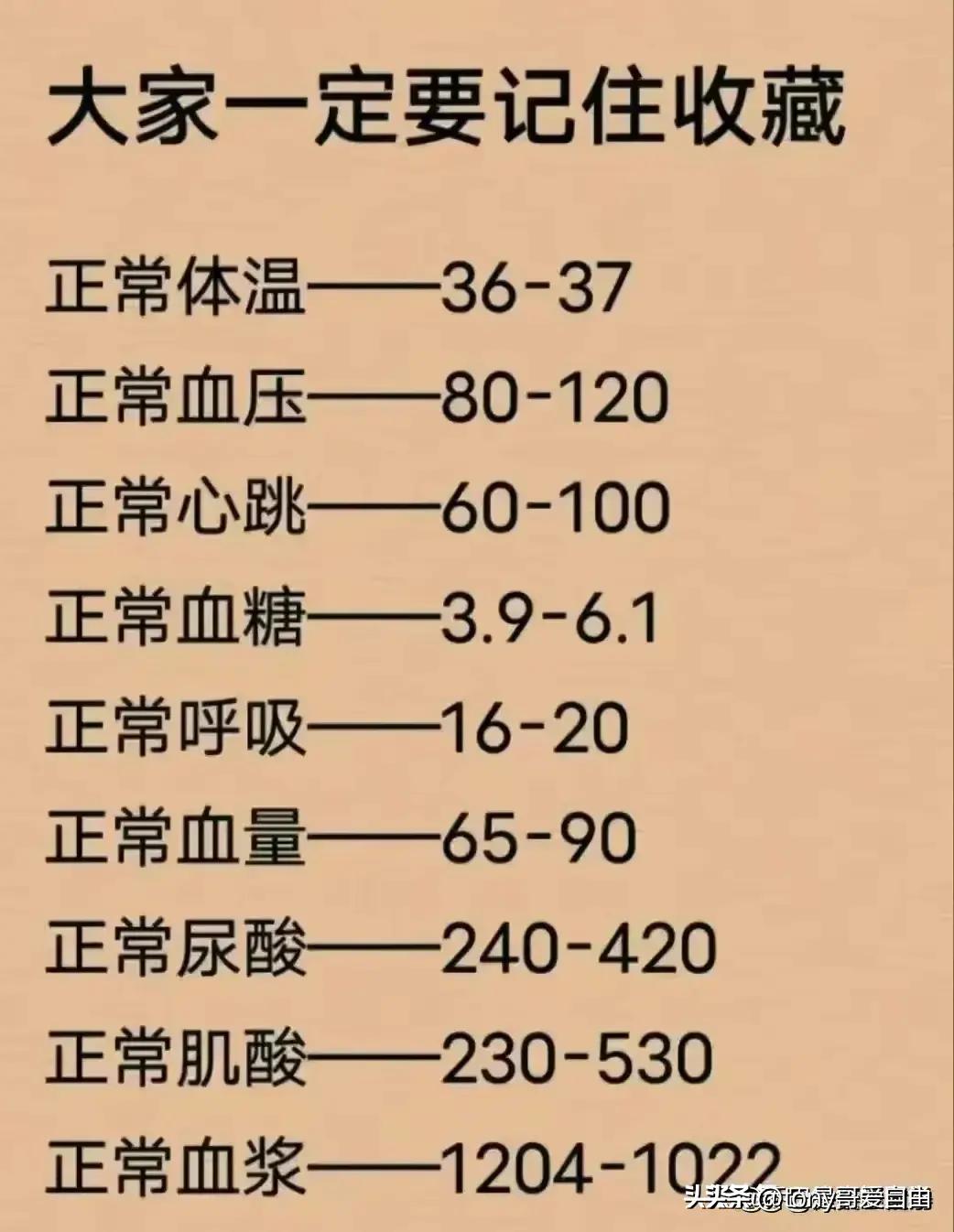 军事新闻参考，全球军事动态深度解析，全球军事动态深度解析与军事新闻参考综述