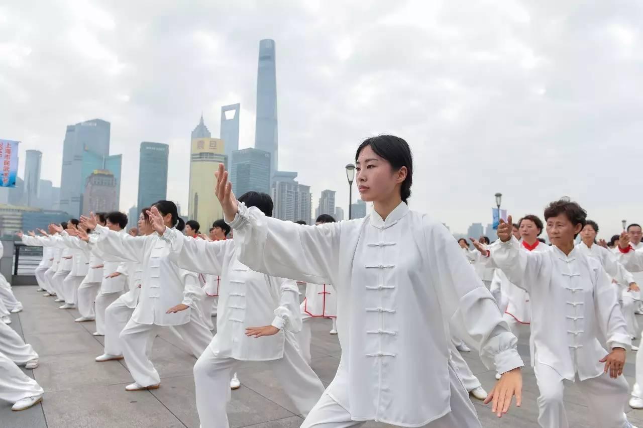 健身教练资格证书查询，探索认证与验证的过程，健身教练资格证书查询，认证与验证流程的深入探索