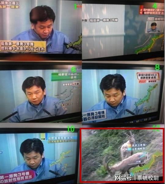 东京电视台在线直播，探索日本首都的实时魅力，东京电视台实时直播，探索日本首都的魅力