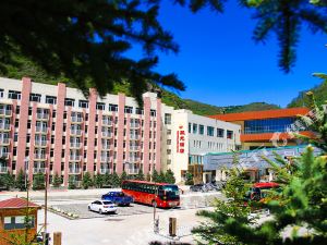 万龙滑雪场双龙酒店，体验极致滑雪之旅的绝佳住宿选择，万龙滑雪场双龙酒店，极致滑雪之旅的住宿首选