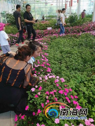 探索上航国际旅行社官网，一站式旅游服务体验，上航国际旅行社官网，一站式旅游服务体验探索