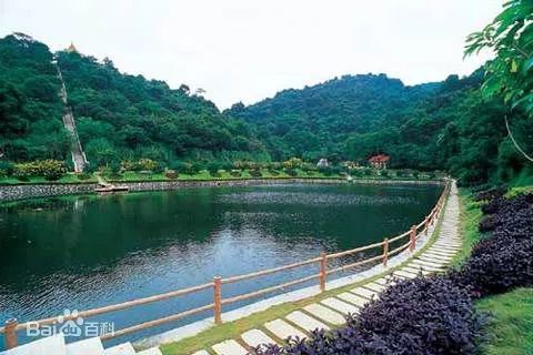 海鸥岛旅游攻略，值得一游的自然风光胜地，海鸥岛旅游攻略，自然风光胜地不容错过！