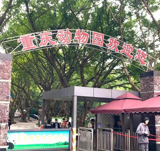 重庆动物园的地理位置及其魅力，重庆动物园的地理位置与独特魅力